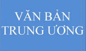 Tổng Bí thư yêu cầu kiểm tra, xác minh thông tin các bài báo liên quan đến Thứ trưởng Bộ Công thương Hồ Thị Kim Thoa